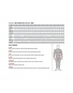 Combinezon de piele 2 piese ALPINESTARS GP FORCE V2 - Negru/Alb/Rosu fluo | 3160126/1231