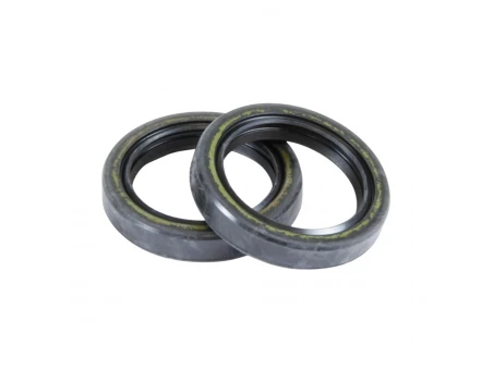 PROX USZCZELNIACZE WAŁU KORBOWEGO APRILIA RS 125 92-10, RX 125 89-98, PEGASO 125 89-94 | 42.7202