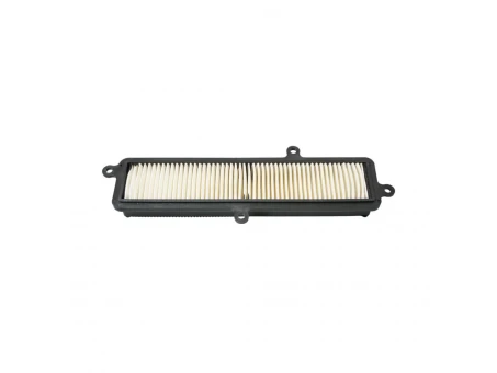 Filtru aer BIKETEC Suzuki UH 125/200 Burgman ’07-19 (HFA3103) | BT134226
