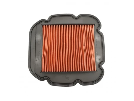 Filtru de aer BIKETEC Kawasaki KLV 1000 / Suzuki DL 650, DL 1000 (HFA3611) | BT134368