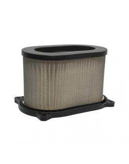 Filtru Aer BIKETEC Cagiva Raptor 650 (2000-2005), Suzuki SV650 (1999-2002) OEM HFA3609