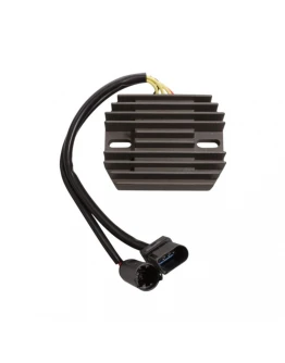 Regulator ELECTROSPORT - BMW G 310