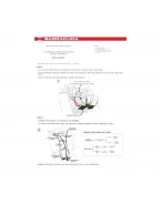 Kit Rezistențe Semnalizări LED Barracuda pentru Honda CB1000R (2008–2016) | HN1-RESIST