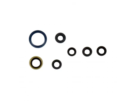 ATHENA KOMPLET (ZESTAW) USZCZELNIACZY SILNIKOWYCH KAWASAKI KXF 450 16-18 | P400250400066