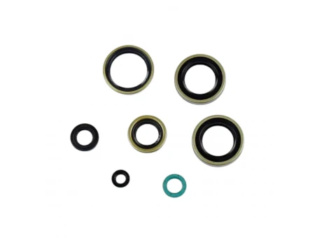 ATHENA KOMPLET (ZESTAW) USZCZELNIACZY SILNIKOWYCH KAWASAKI KDX 200 / 220 95-03 | P400250400221