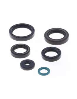 Set simeringuri motor ATHENA - TM EN / MX 250 / 300 ’15-’18