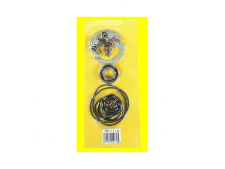 Kit reparatie electromotor ARROWHEAD KAWASAKI EN 500 90-96 (cu suport de perii) | SMU9149